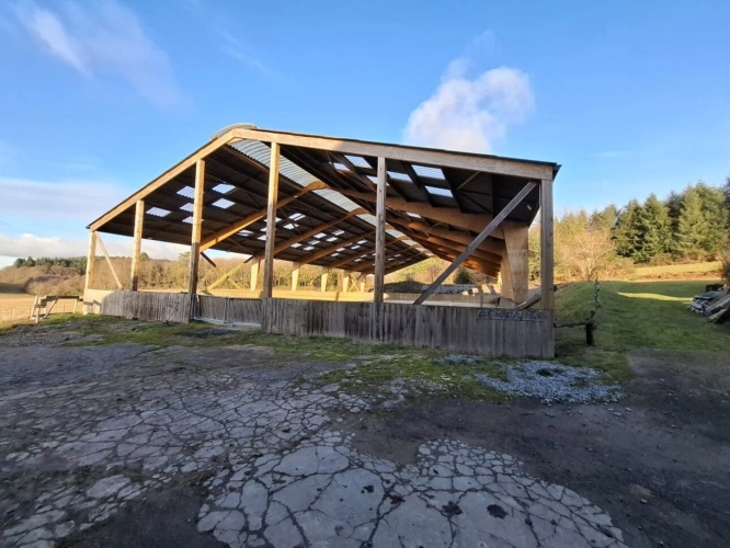 Photos 2 - Équestre - Domaine Équestre d'Exception destinée au bien etre équin s