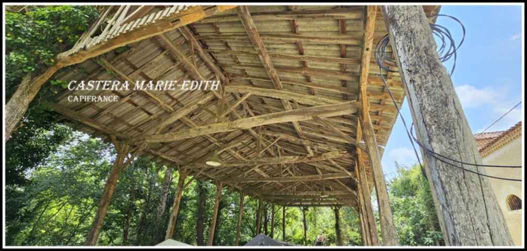 Photos 19 - Rurale - Dpt Gers (32), à vendre proche de AUCH   Bâtiment 860 M² à rénover