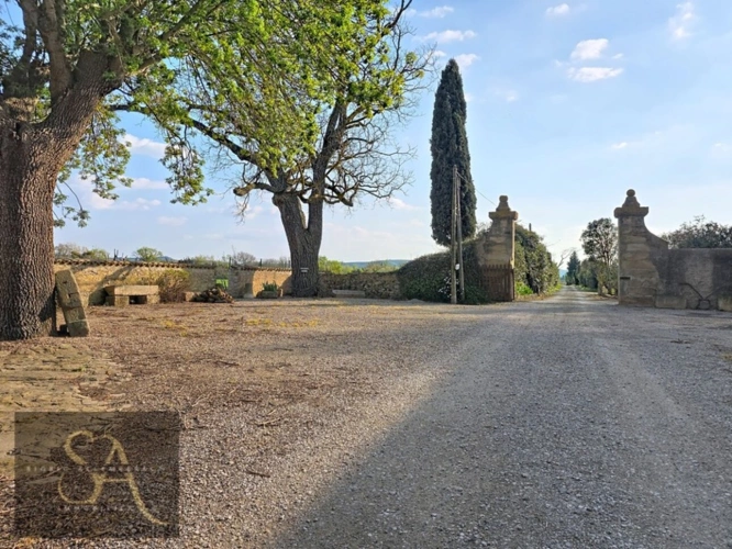 Photos 20 - Agricole - Domaine viticole de caractère – 55 ha – Proche Méditerranée entre Narbonne et Carcassonne