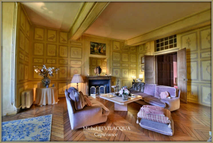 Photos 14 - Prestige - Magnifique Domaine Historique de CHATILLON-en-BAZOIS (58) 2 Châteaux 1 tour de défense plus de 40 pièces sur 5,8 HA