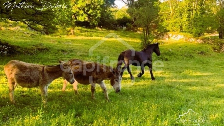 Photos 31 - Prestige - Élégance, rentabilité et art de vivre – Domaine touristique avec potentiel équestre aux portes de Padirac