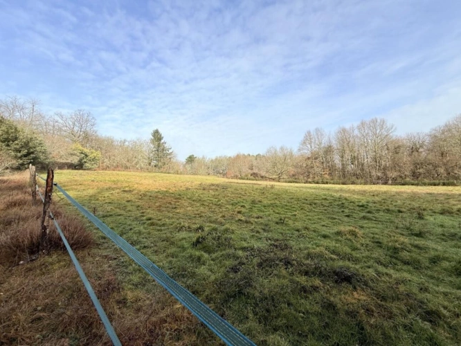 Photos 6 - Prestige - Maison