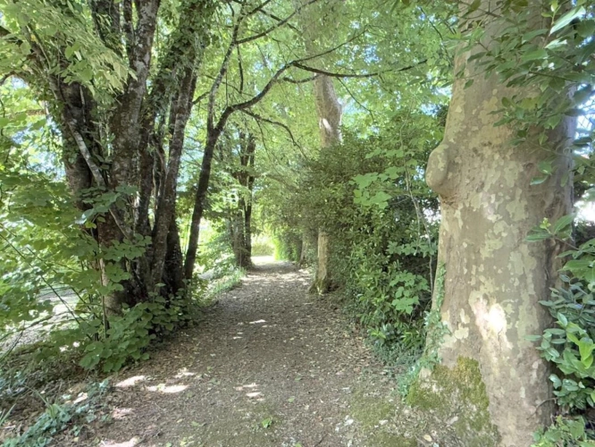 Photos 6 - Prestige - Maison