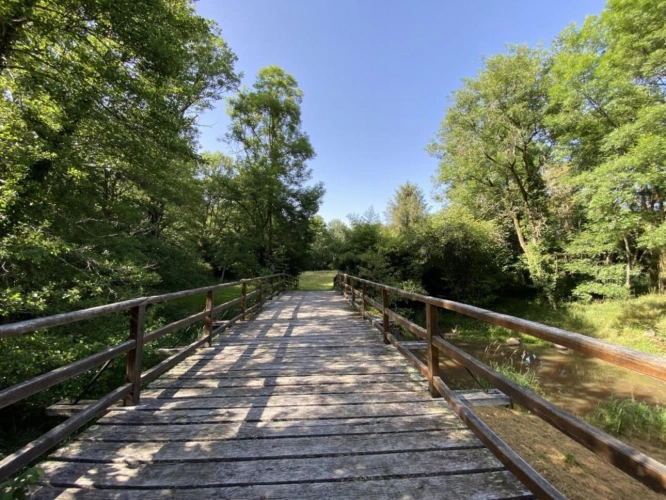 Photos 7 - Prestige - Manoir