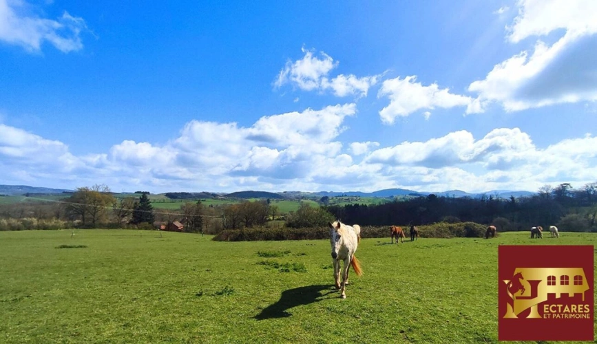 Photos 1 - Équestre - Propriété équestre 6,5 hectares attenants