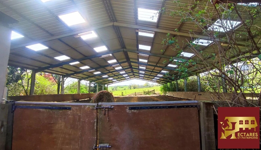 Photos 3 - Équestre - Propriété équestre 6,5 hectares attenants