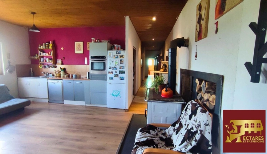 Photos 6 - Équestre - Propriété équestre 6,5 hectares attenants