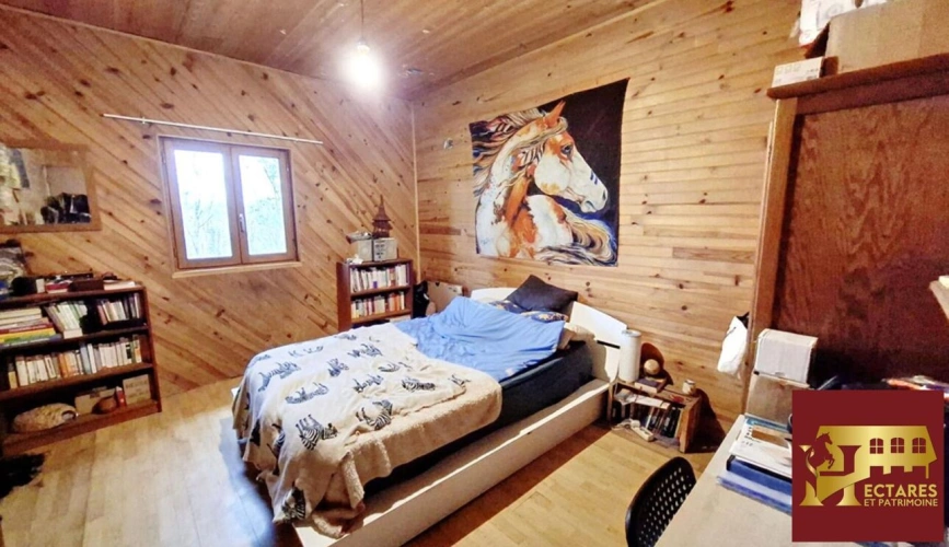 Photos 7 - Équestre - Propriété équestre 6,5 hectares attenants