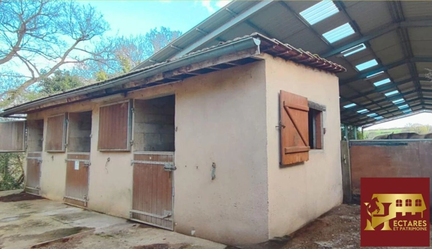 Photos 11 - Équestre - Propriété équestre 6,5 hectares attenants