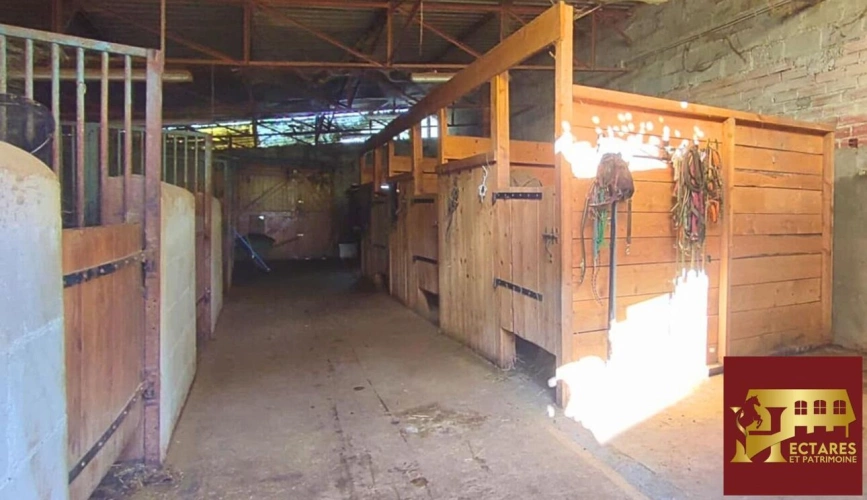 Photos 13 - Équestre - Propriété équestre 6,5 hectares attenants