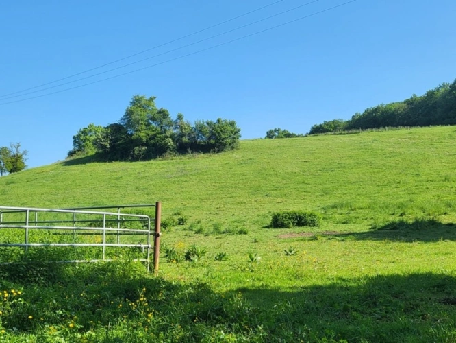 Photos 1 - Equestrian - Terrain agricole sur 6 hectares, bois, sources, compteur électrique et eau, clos, abri animaux, chevaux