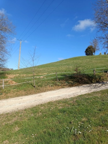 Photos 4 - Equestrian - Terrain agricole sur 6 hectares, bois, sources, compteur électrique et eau, clos, abri animaux, chevaux
