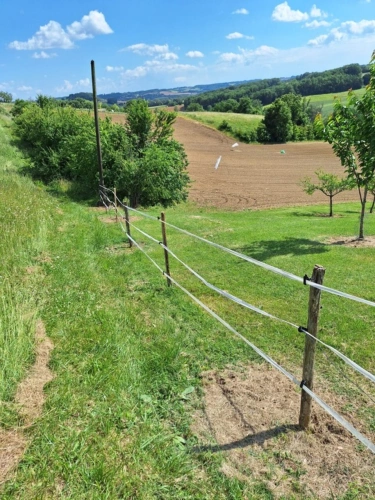 Photos 7 - Equestrian - Terrain agricole sur 6 hectares, bois, sources, compteur électrique et eau, clos, abri animaux, chevaux