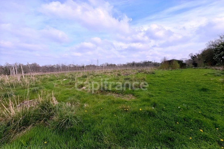 Photos 4 - Agricole - A saisir - 3,32 ha de terrain agricole avec hangar de 200m² - Pont - Aven