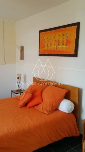 Photos 19 - Rurale - Ferme du 17eme sur 4,2ha à Sainte Maure de Touraine: Mariage/Evènementiel: Opportunité d'investissement unique!