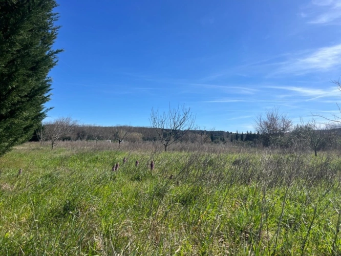 Photos 2 - Rurale - Terrain de loisirs de 2600m² à vendre à COLLIAS (30) - Environnement naturel privilégié