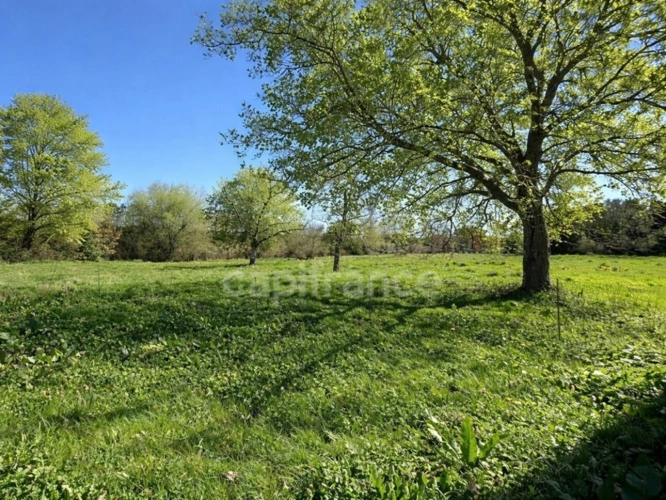 Photos 2 - Rurale - Hangar de 267 m² transformable en habitation sur 6 813 m² - Fort potentiel - Chevanceaux (17)