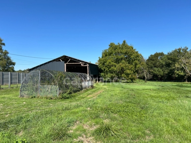 Photos 4 - Rurale - Hangar de 267 m² transformable en habitation sur 6 813 m² - Fort potentiel - Chevanceaux (17)