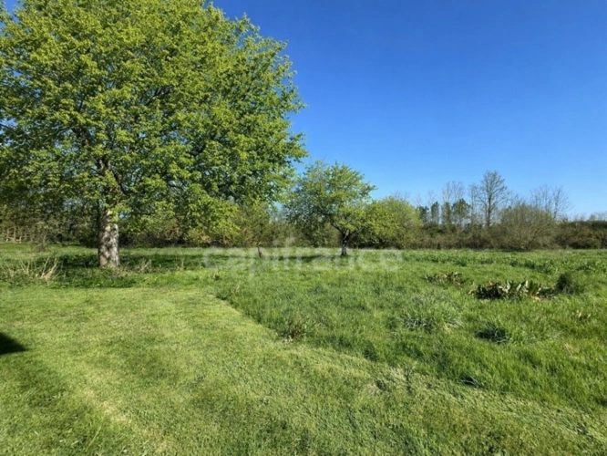 Photos 5 - Rurale - Hangar de 267 m² transformable en habitation sur 6 813 m² - Fort potentiel - Chevanceaux (17)