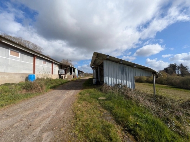 Photos 30 - Prestige - Kernascleden propriété composée d'une maison à usage d'habitation de 6 pièces 178 m² envion un hangar de 161m² envion, une ancienne lapinière de 700m² envion le tout sur une parcelle de 3.2 Hectares