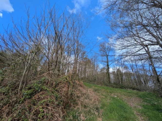 Photos 35 - Prestige - Kernascleden propriété composée d'une maison à usage d'habitation de 6 pièces 178 m² envion un hangar de 161m² envion, une ancienne lapinière de 700m² envion le tout sur une parcelle de 3.2 Hectares