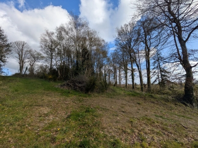 Photos 38 - Prestige - Kernascleden propriété composée d'une maison à usage d'habitation de 6 pièces 178 m² envion un hangar de 161m² envion, une ancienne lapinière de 700m² envion le tout sur une parcelle de 3.2 Hectares