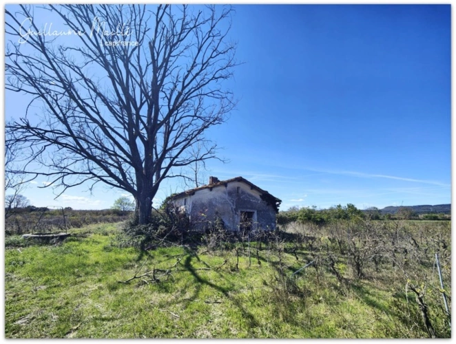 Photos 1 - Agricole - Terrain agricoles de 6 hectares à vendre - CAUX (34720)