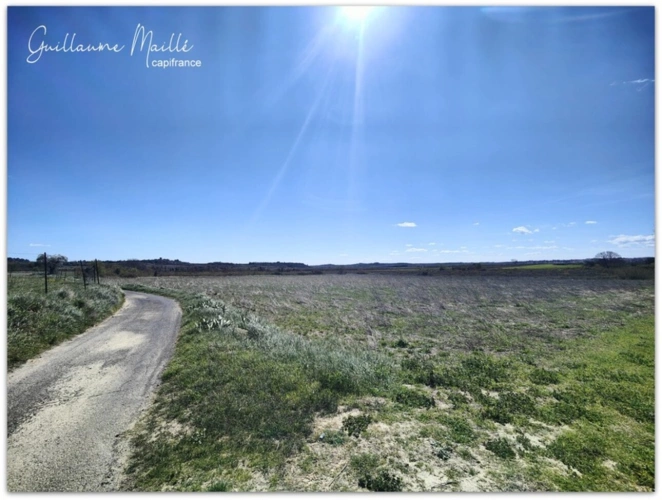 Photos 3 - Agricole - Terrain agricoles de 6 hectares à vendre - CAUX (34720)