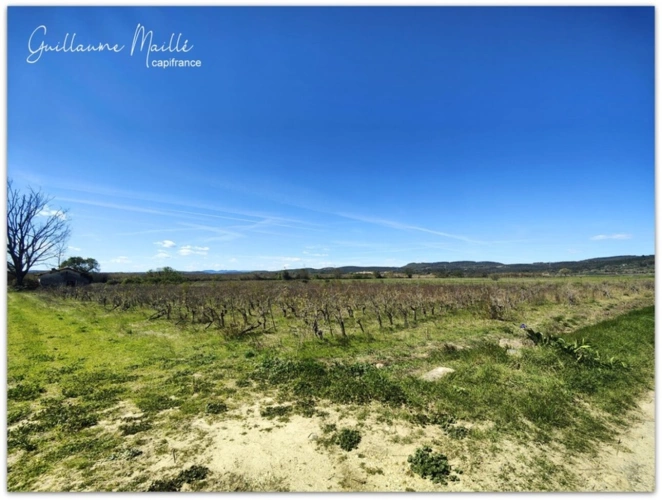 Photos 4 - Agricole - Terrain agricoles de 6 hectares à vendre - CAUX (34720)