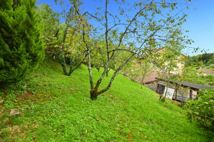 Photos 17 - Touristique - Propriété /gîtes/ chambre d'hôtes et grand terrain à St Sernin du Plain