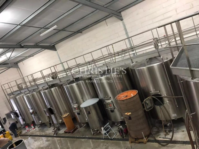 Photos 2 - Viticole - Propriété viticole en AOC Bordeaux et Graves de Vayres – Libournais