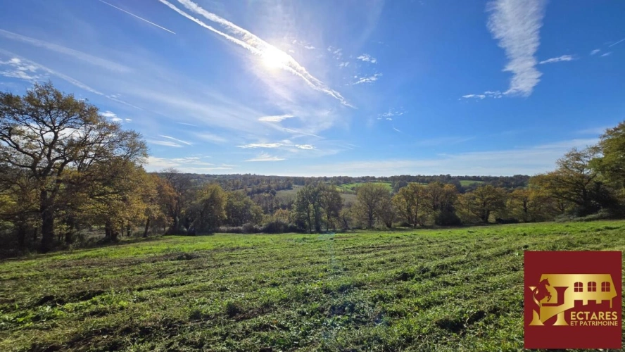 Photos 4 - Equestrian - ANCIEN MONASTERE de 214 m2 sur 50 ha - Idéal élevage chevaux -