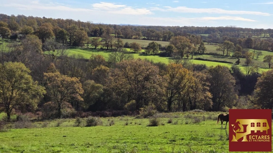 Photos 5 - Equestrian - ANCIEN MONASTERE de 214 m2 sur 50 ha - Idéal élevage chevaux -