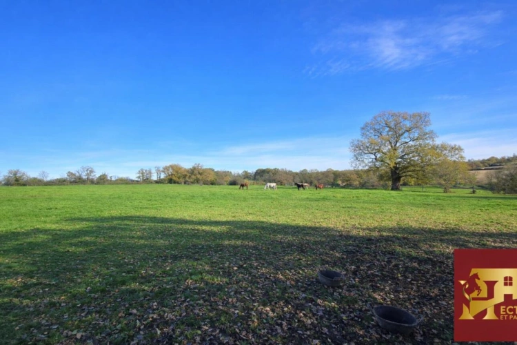 Photos 6 - Equestrian - ANCIEN MONASTERE de 214 m2 sur 50 ha - Idéal élevage chevaux -