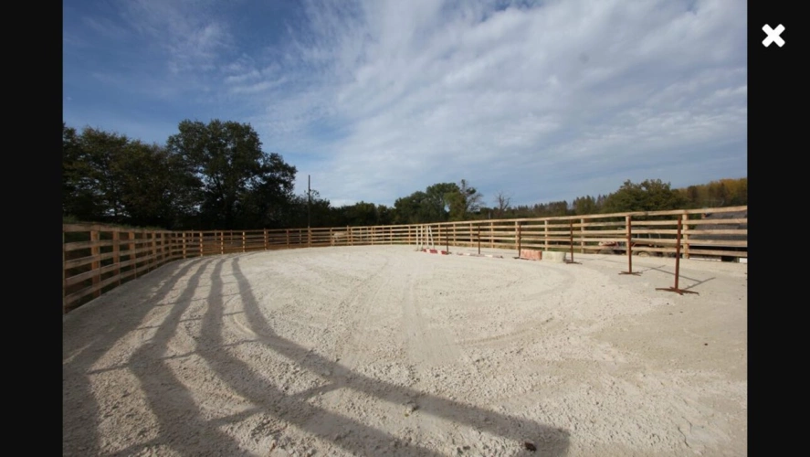 Photos 2 - Équestre - ? Propriété équestre idéale pension / valorisation - 2