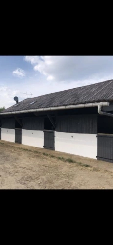 Photos 4 - Équestre - ? Propriété équestre idéale pension / valorisation - 2