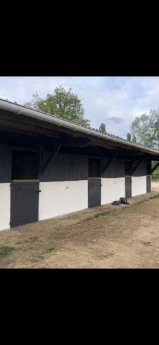 Photos 5 - Équestre - ? Propriété équestre idéale pension / valorisation - 2