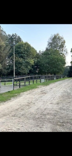 Photos 6 - Équestre - ? Propriété équestre idéale pension / valorisation - 2