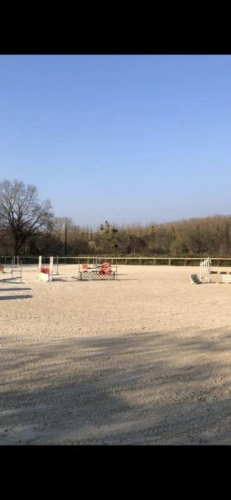 Photos 7 - Équestre - ? Propriété équestre idéale pension / valorisation - 2