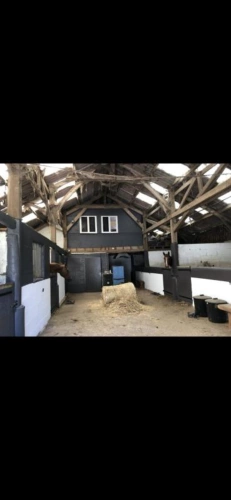 Photos 8 - Équestre - ? Propriété équestre idéale pension / valorisation - 2