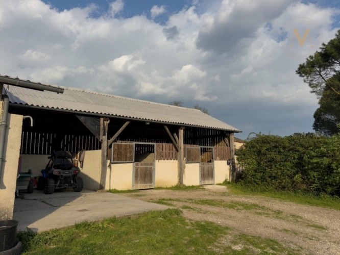 Photos 34 - Équestre - Domaine équestre de prestige au cœur de 18 hectares – Élégance, nature et art de vivre proche de THEZAC (47)