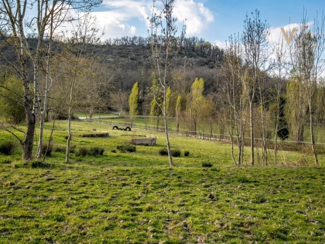 Photos 36 - Équestre - Domaine équestre de prestige au cœur de 18 hectares – Élégance, nature et art de vivre proche de THEZAC (47)
