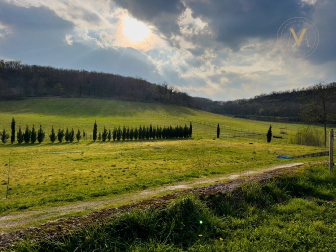 Photos 31 - Équestre - Domaine équestre de prestige au cœur de 18 hectares – Élégance, nature et art de vivre proche de THEZAC (47)