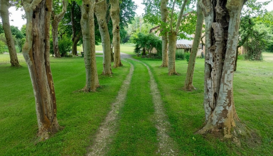 Photos 19 - Prestige - Maison