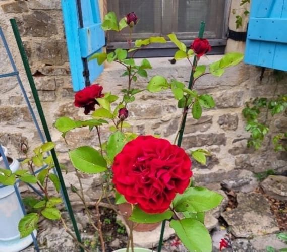 Photos 19 - Rurale - Maison