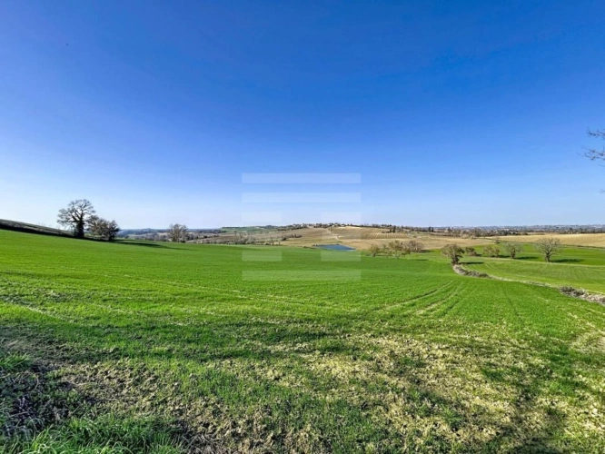 Photos 1 - Agricole - Terrain agricole