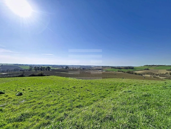 Photos 2 - Agricole - Terrain agricole