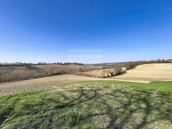 Photos 3 - Agricole - Terrain agricole