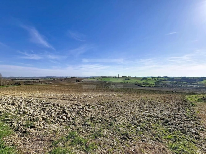 Photos 4 - Agricole - Terrain agricole