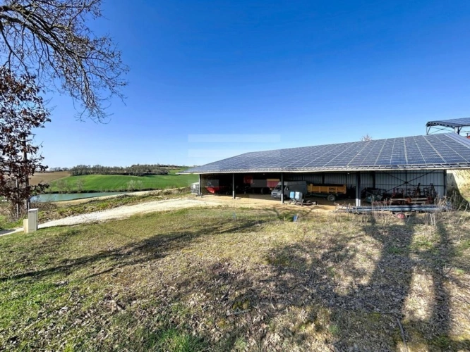 Photos 7 - Agricole - Terrain agricole